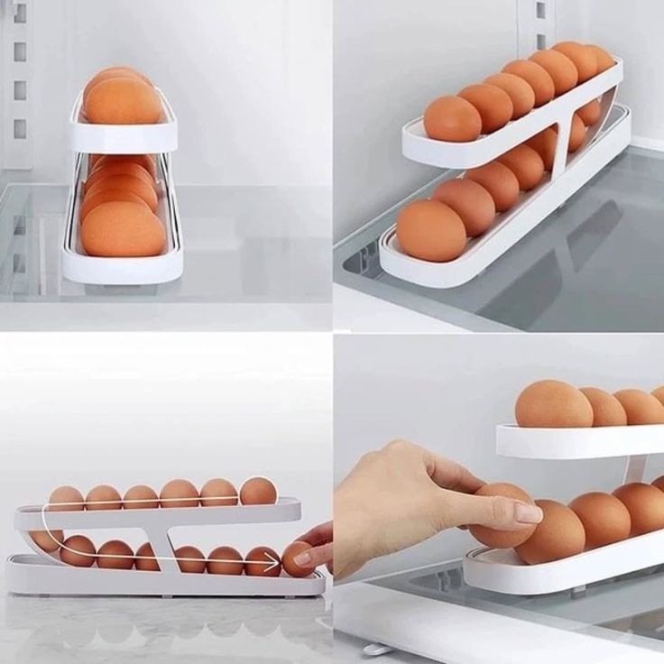 ORGANIZAOR DE HUEVOS ORION