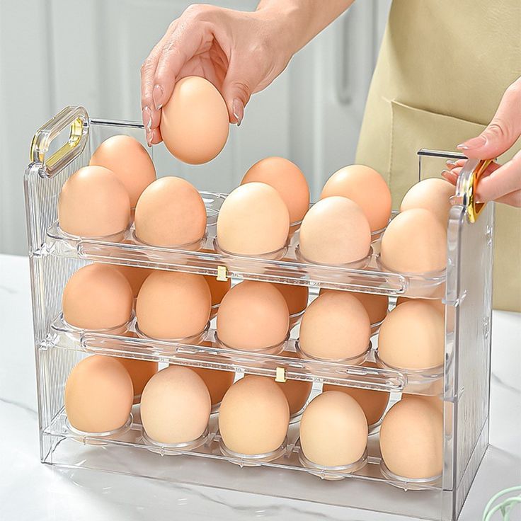 ORGANIZADOR DE HUEVOS PLEGABLE GRECIA